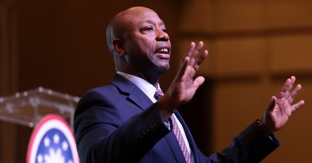 Exclusive - Tim Scott on 2024: ‘100 Percent’ This Is Not a Two-Man Race Between Trump, DeSantis