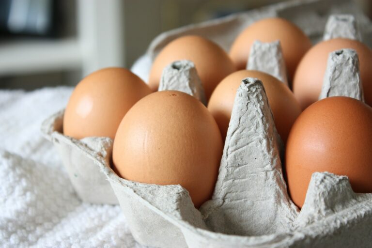 Bird Flu Terror: Egg Rationing Hits U.S. Grocery Stores - InfoArmed