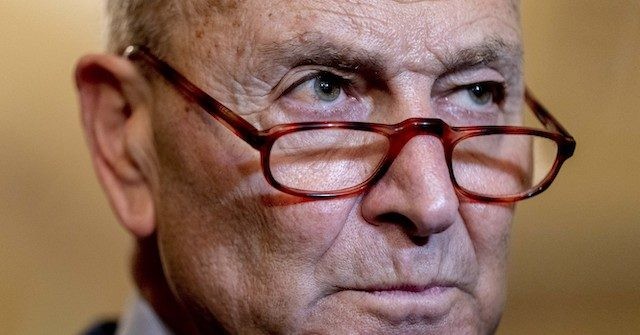 Schumer Doesn't Rule Out Impeachment: 'Trump Is Violating Rule of Law' - InfoArmed