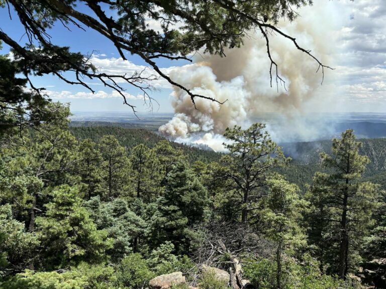 Trump admin orders major increase in logging after wildfire disasters